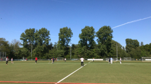 Schitterende cricketdag