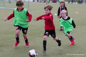 Trainingen Trainingen
