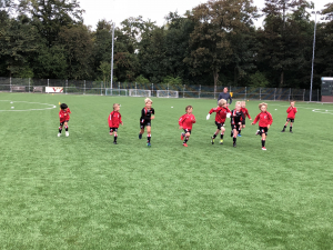 HBS jo8-5